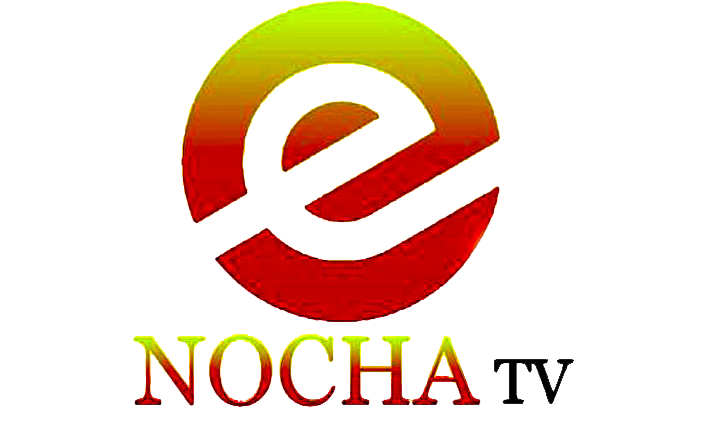 ENOCha television